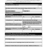 Client Information Form - Expungment